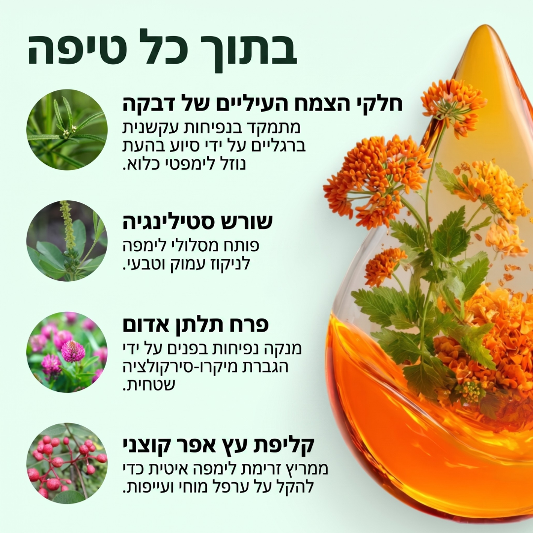™CELESTA טיפות ניקוז לימפתי