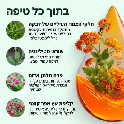 ™CELESTA טיפות ניקוז לימפתי