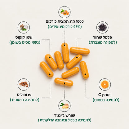 הרכיבים